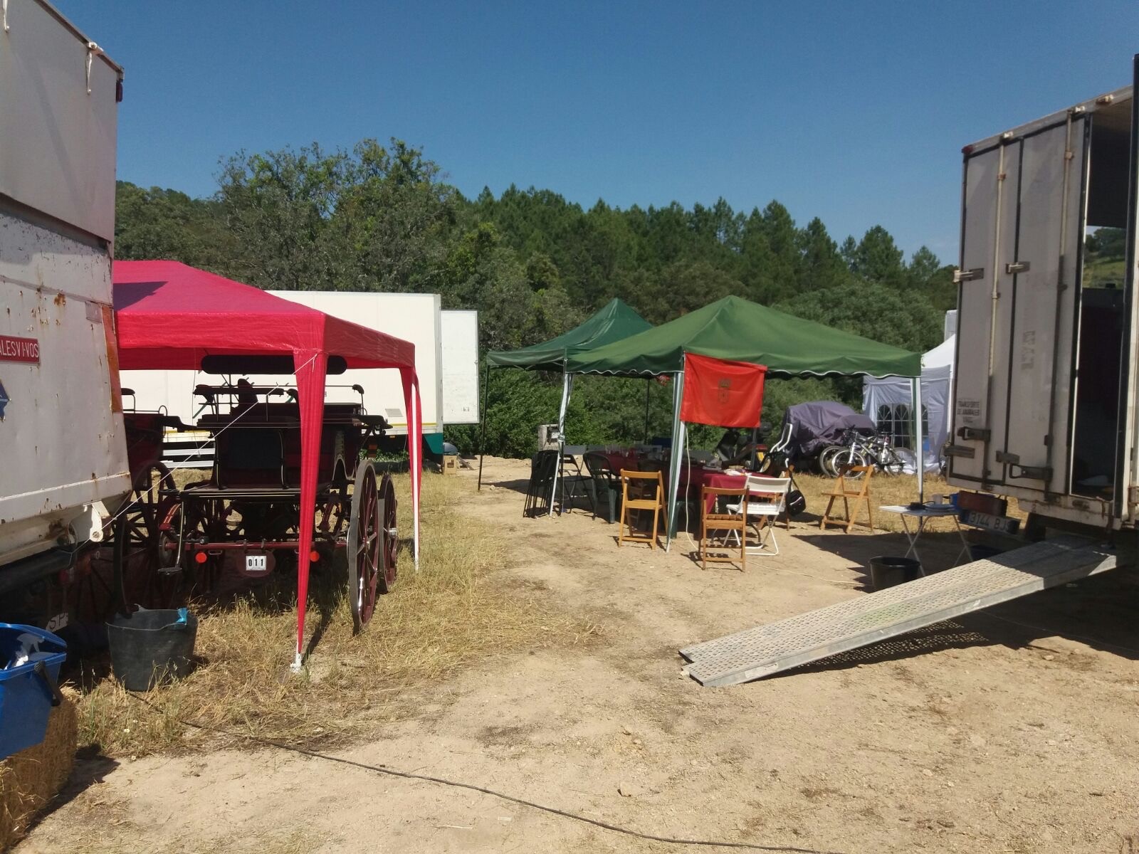 Medalla de bronce en limoneras de la Selección Navarra de Enganches en el Campeonato de España 2017